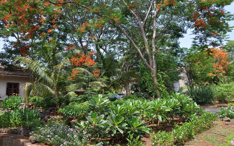 Modi Resort, Karjat 5